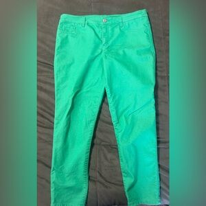 Style and Co Skinny Colored Jeans